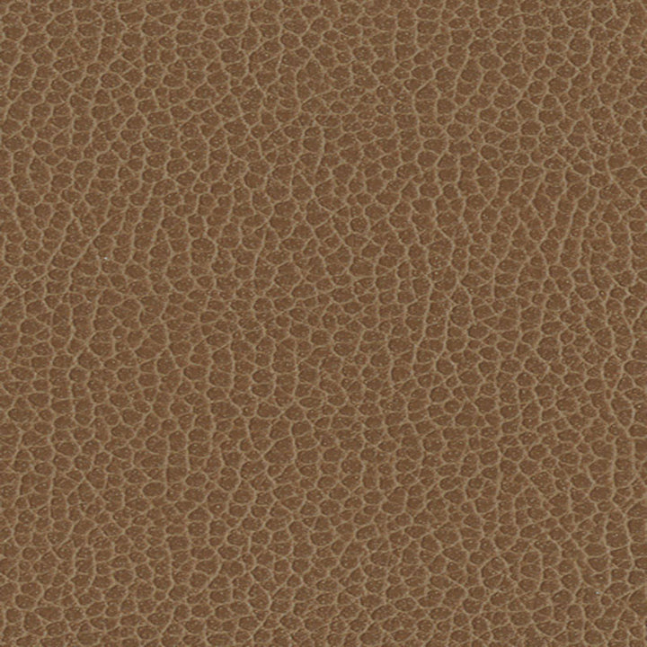 Promessa Fields 363-3141 by Schumacher Designer Fabric ULTRALEATHER POLYURETHANE 100% JAPAN WYZENBEEK 400,000 </p><p>Repeat: Horizontal: and Vertical: 54 - Swanky Fabrics -