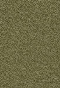 Promessa Moss 363-4514 by Schumacher Designer Fabric