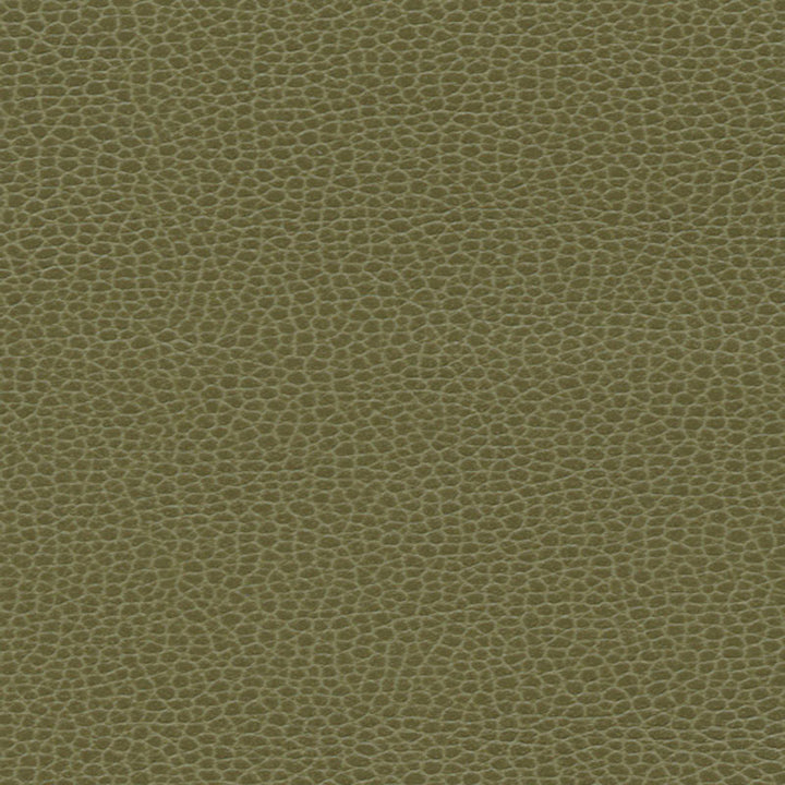 Promessa Moss 363-4514 by Schumacher Designer Fabric ULTRALEATHER See Sample JAPAN HEAVY DUTY </p><p>Repeat: Horizontal: - and Vertical: - 54" WIDE (137CM) - Swanky Fabrics -