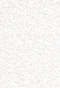 Promessa Snow 363-5715 by Schumacher Designer Fabric