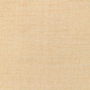 36302-116 by Kravet Designer Fabric