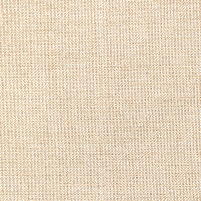 36302.1.0 by Kravet Fabric Kravet Fabric 36302.1.0Fabric PERFORMANCE CRYPTON HOME POST CONSUMER RECYCLED POLYESTER - 41%;RAYON - 33%;POLYESTER - 26% United States </p><p>Repeat: H: , V: 55.25 - Fabric Carolina -