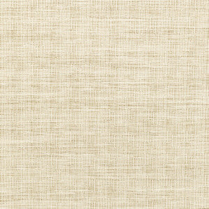 36303-1 by Kravet Designer Fabric