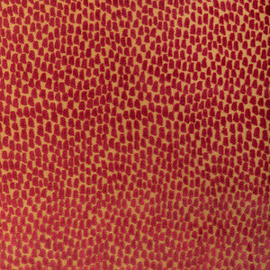 Foundrae Tango by Kravet Designer Fabric