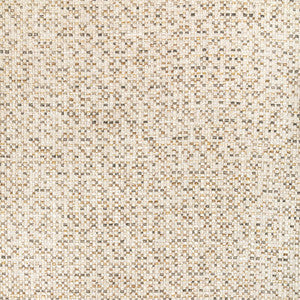 Remo Tusk by Kravet Designer Fabric