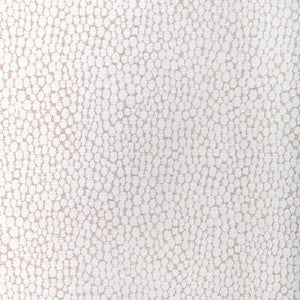 Starfall Ivory Silver by Kravet Designer Fabric