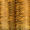 Provocative Gold by Kravet Designer Fabric
