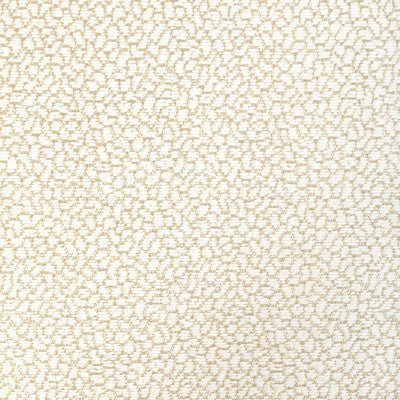 36421.161.0 by Kravet Fabric Kravet Fabric 36421.161.0Fabric PERFORMANCE CRYPTON HOME COTTON - 84%;POLYESTER - 16% United States </p><p>Repeat: H: 0, V: 0 55.75 - Fabric Carolina -