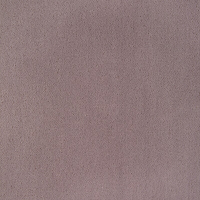 36543.110.0 by Kravet Fabric Kravet Fabric 36543.110.0Fabric POLYESTER - 100% China </p><p>Repeat: H: 0, V: 0 54 - Fabric Carolina -
