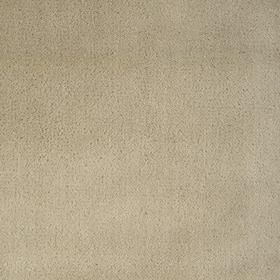 36543.1116.0 by Kravet Fabric Kravet Fabric 36543.1116.0Fabric POLYESTER - 100% China </p><p>Repeat: H: 0, V: 0 54 - Fabric Carolina -