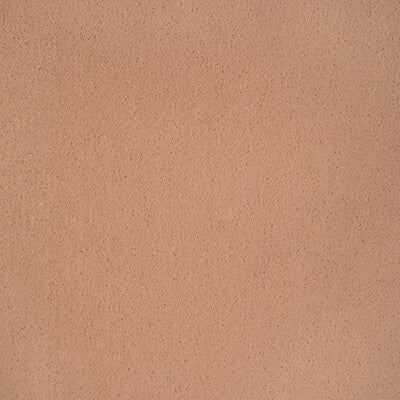 36543.12.0 by Kravet Fabric Kravet Fabric 36543.12.0Fabric POLYESTER - 100% China </p><p>Repeat: H: 0, V: 0 54 - Fabric Carolina -