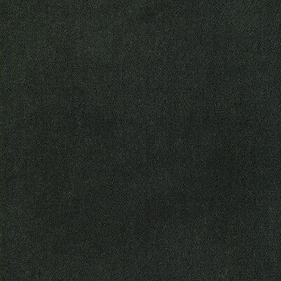 36543.2111.0 by Kravet Fabric Kravet Fabric 36543.2111.0Fabric POLYESTER - 100% China </p><p>Repeat: H: 0, V: 0 54 - Fabric Carolina -