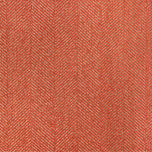 Reprise Nemo by Kravet Designer Fabric