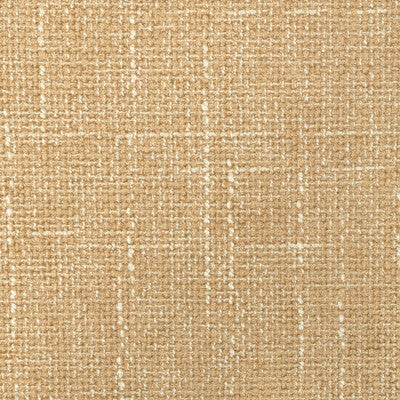 36579.116.0 by Kravet Fabric Kravet Fabric 36579.116.0Fabric PERFORMANCE KRAVETARMOR POLYESTER - 80%;VISCOSE - 20% China </p><p>Repeat: H: 0, V: 0 54 - Fabric Carolina -