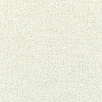 36596.101.0 by Kravet Fabric Kravet Fabric 36596.101.0Fabric MABLEY HANDLER POLYESTER - 100% India </p><p>Repeat: H: 12, V: 4 54 - Fabric Carolina -