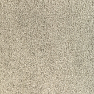 36598.111.0 by Kravet Fabric Kravet Fabric 36598.111.0Fabric PERFORMANCE KRAVETARMOR POLYESTER - 100% China </p><p>Repeat: H: 0, V: 0 55.9 - Fabric Carolina -
