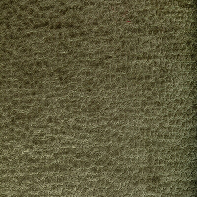 36606.130.0 by Kravet Fabric Kravet Fabric 36606.130.0Fabric PERFORMANCE KRAVETARMOR POLYESTER - 100% China </p><p>Repeat: H: 0, V: 0 55 - Fabric Carolina -