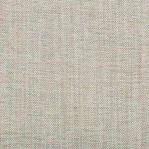 36635-11 by Kravet Designer Fabric