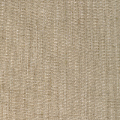 36649.116.0 by Kravet Fabric Kravet Fabric 36649.116.0Fabric POLYESTER - 86%;COTTON - 14% India </p><p>Repeat: H: 0, V: 0 54 - Fabric Carolina -