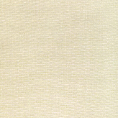 36650.111.0 by Kravet Fabric Kravet Fabric 36650.111.0Fabric PERFORMANCE KRAVETARMOR SPUN POLYESTER - 61%;POLYFIL - 39% India </p><p>Repeat: H: 0, V: 0 54 - Fabric Carolina -