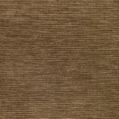 36651.16.0 by Kravet Fabric Kravet Fabric 36651.16.0Fabric PERFORMANCE KRAVETARMOR POLYFIL - 81%;SPUN POLYESTER - 19% India </p><p>Repeat: H: 0, V: 0 54 - Fabric Carolina -