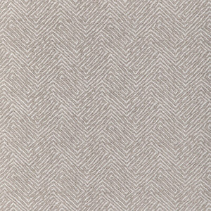 Kravet Smart 36667-1101 36667.1101.0 By Kravet Smart Designer Fabric