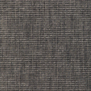 Kravet Smart 36669-1121 36669.1121.0 By Kravet Smart Designer Fabric