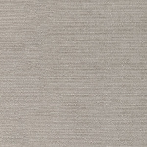 Kravet Smart 36670-1116 36670.1116.0 By Kravet Smart Designer Fabric
