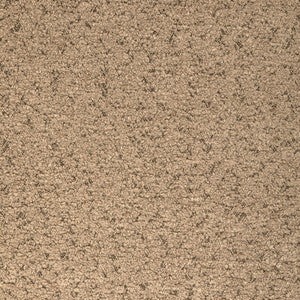 Marino Toast by Kravet Designer Fabric