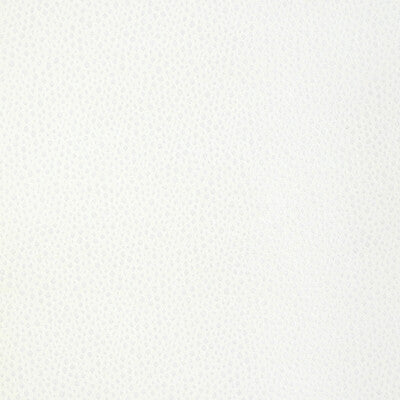 Kravet Design - Upholstery - 36783.1.0 - Upholstery - VISCOSE - 52%;POLYESTER - 25%;COTTON - 16%;SILK - 7% - India </p><p>Repeat: H: , V: 27.5 21 - My Fabric Connection -