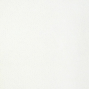 Tip The Scale Snow 36783.1.0 By Kravet Design Designer Fabric