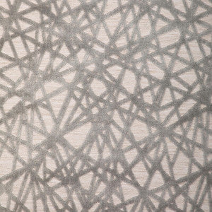 Line Dancing Dove 36816.11.0 By Kravet Design Designer Fabric