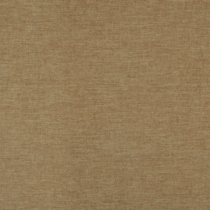 3681 Spring by Charlotte Designer Fabric Ring Book Page #1 100% Woven Polyester Asia Exceeds 100,000 Wyzenbeek Rubs (Heavy Duty) No Repeat 54 Inches - Swanky Fabrics -