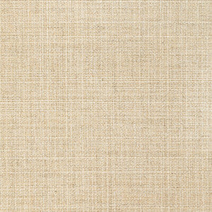 36821-16 by Kravet Designer Fabric