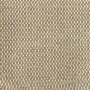 36826-116 by Kravet Designer Fabric