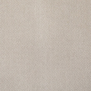 Graceful Moves Cream 36836.1116.0 By Kravet Design Designer Fabric