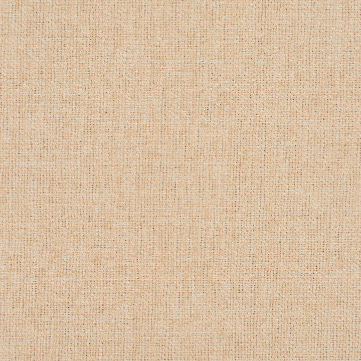 3683 Cream by Charlotte Designer Fabric Ring Book Page #1 100% Woven Polyester Asia Exceeds 100,000 Wyzenbeek Rubs (Heavy Duty) No Repeat 54 Inches - Swanky Fabrics -