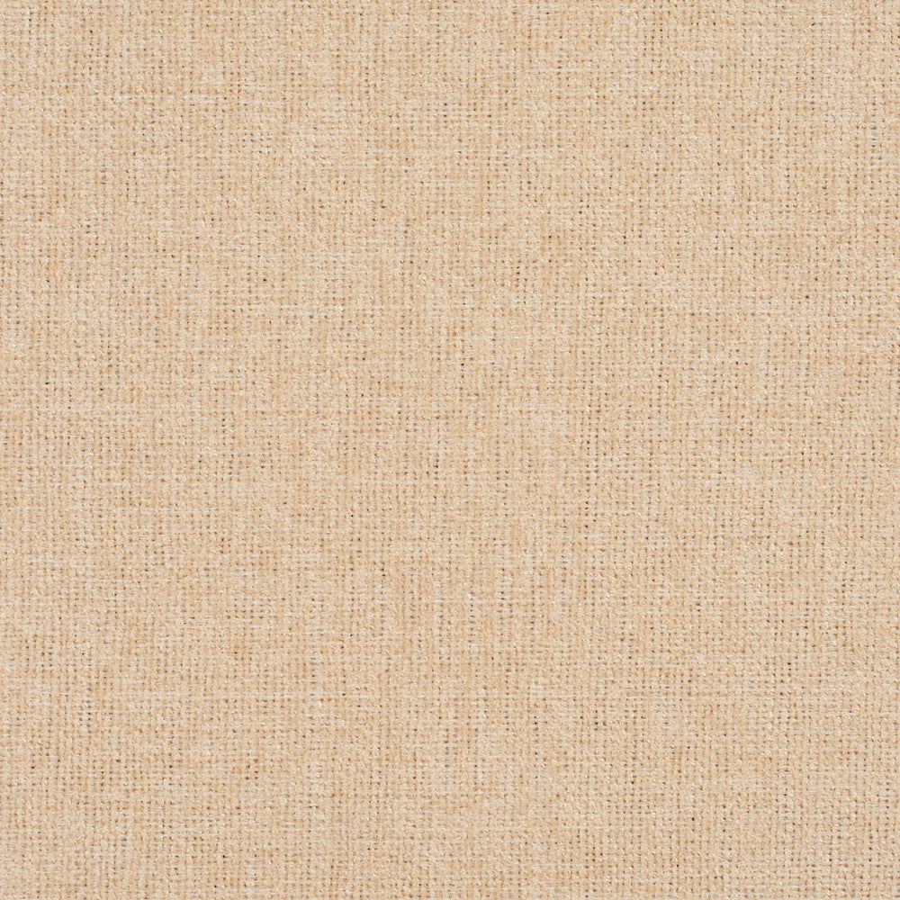 3683 Cream by Charlotte Designer Fabric Ring Book Page #1 100% Woven Polyester Asia Exceeds 120,000 Wyzenbeek Rubs (Heavy Duty) </p><p>Repeat: 54 Inches - Swanky Fabrics -