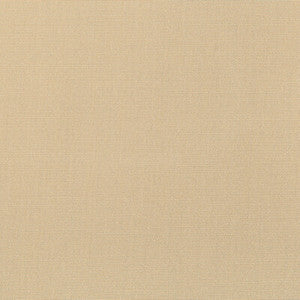 36841-1616 by Kravet Designer Fabric