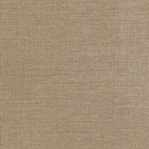 36843-1616 by Kravet Designer Fabric