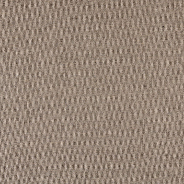3684 Dune by Charlotte Designer Fabric Ring Book Page #1 100% Woven Polyester Asia Exceeds 100,000 Wyzenbeek Rubs (Heavy Duty) No Repeat 54 Inches - Swanky Fabrics -