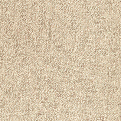 36857.116.0 by Kravet Fabric Kravet Fabric 36857.116.0Fabric PERFORMANCE KRAVETARMOR POLYESTER - 100% India </p><p>Repeat: H: 0, V: 0 54 - Fabric Carolina -
