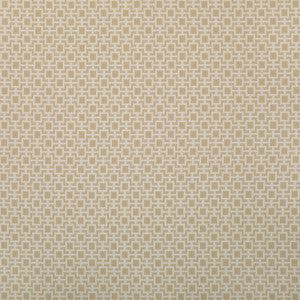 Kravet Design 36875-116 36875.116.0 By Kravet Design Designer Fabric