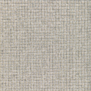Aria Check Linen 36950.1611.0 By Kravet Basics Designer Fabric