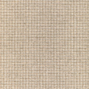 Aria Check Rattan 36950.16.0 By Kravet Basics Designer Fabric