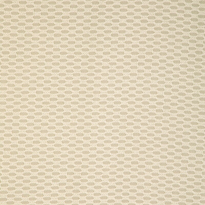 Kravet Smart - Upholstery - 37005.116.0 - Upholstery - HIGH UV POLYESTER - 100% - India </p><p>Repeat: H: , V: 27.5 21 - My Fabric Connection -