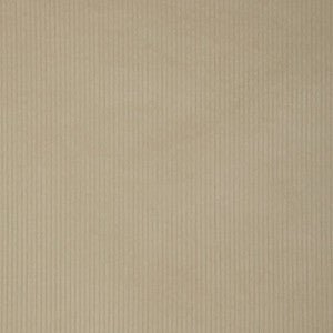 Kravet Smart 37006-1116 37006.1116.0 By Kravet Smart Designer Fabric