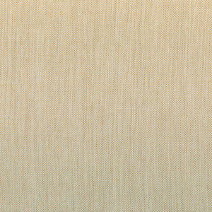 Kravet Smart 37016-166 37016.166.0 By Kravet Smart Designer Fabric