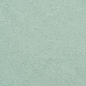 3720 Mint by Charlotte Designer Fabric