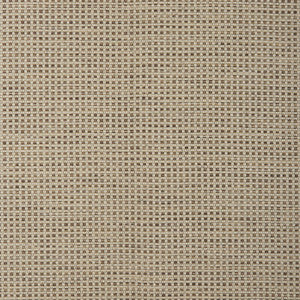 Kravet Smart 37295-166 37295.166.0 By Kravet Smart Designer Fabric